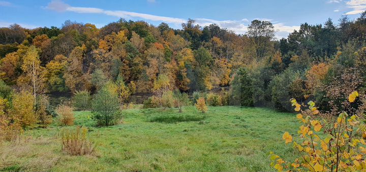 Участок 30 сот. (ИЖС)