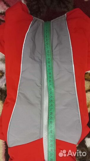 Зимний комбинезон для маленьких собак