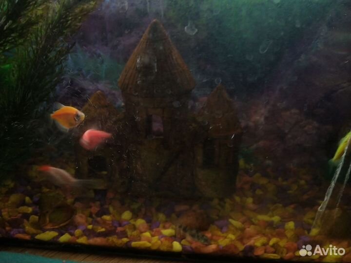 Украшение для аквариума
