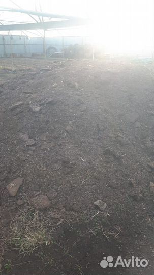 Перегной куриный