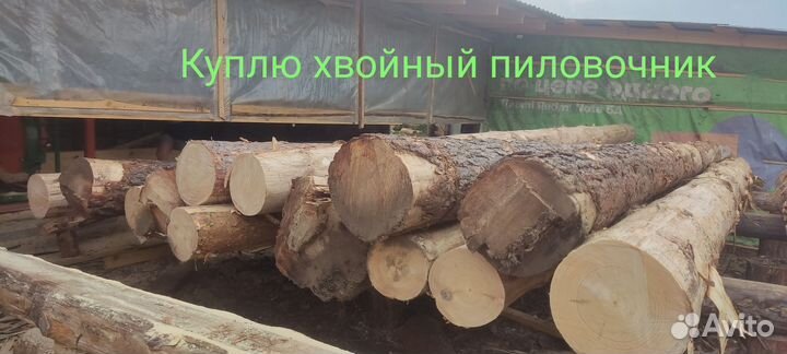 Лес кругляк пиловочник