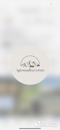 Управляющий мини-гостиницей