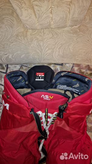 Хоккейные шорты ccm as-v pro