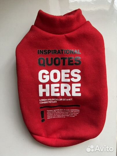 Толстовка, шлейка для маленькой собаки