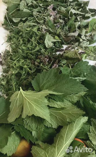 Травы и ягоды для чая сухие и свежие натур.продукт