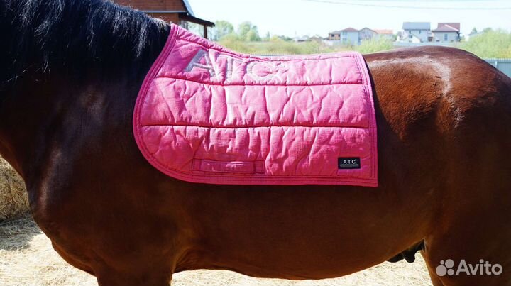 Вальтрап Anky