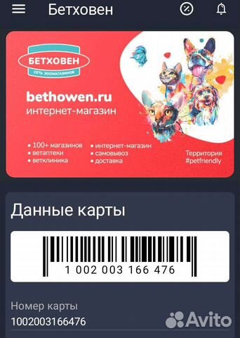 Клубная карта зоомагазин Бетховен