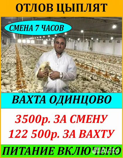 Вахта г.Одинцова д.Часцы работник на отлов цыплят