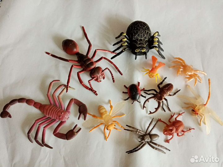 Лягушки, ягуаны, насекомые