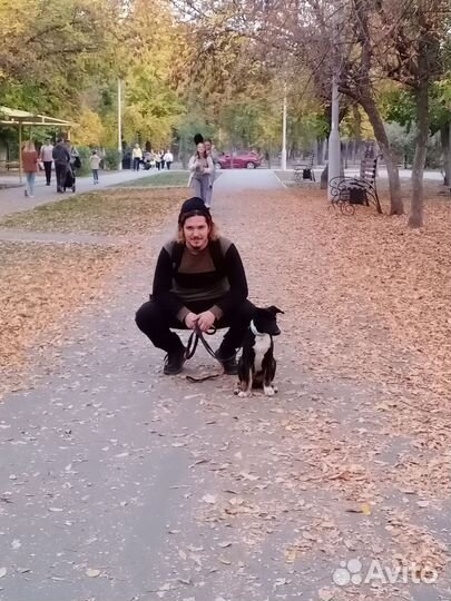 Разработка сайтов