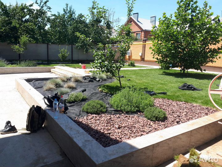 Благоустройство, газон, озеленение