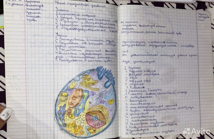 Переписать конспект, лекцию