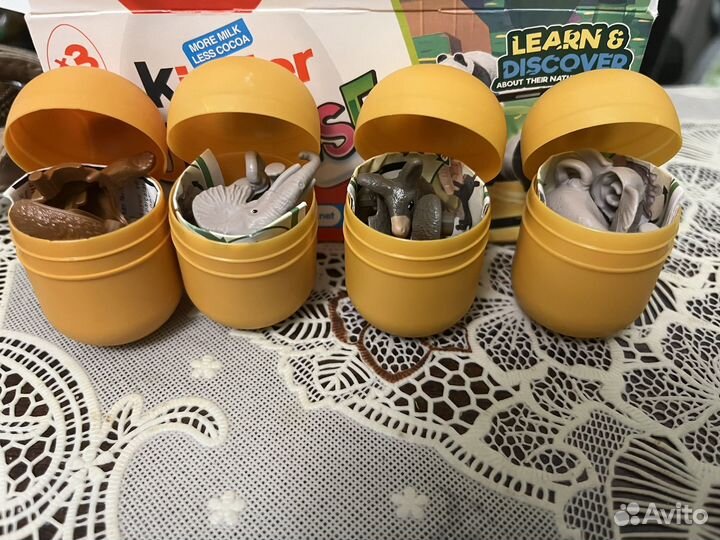 Киндер Алена