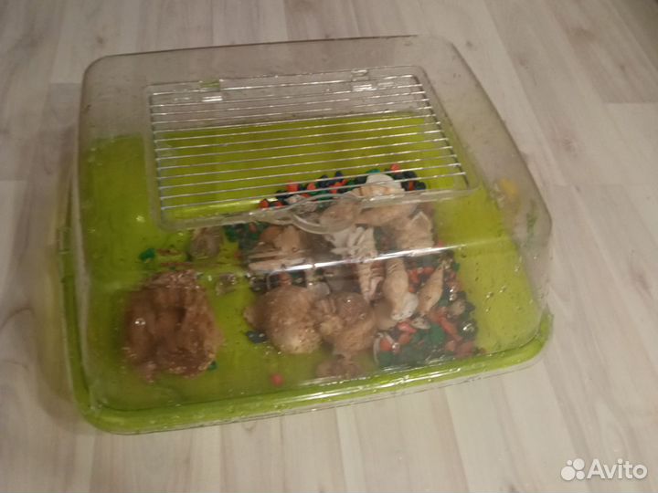 Аквариум для черепах