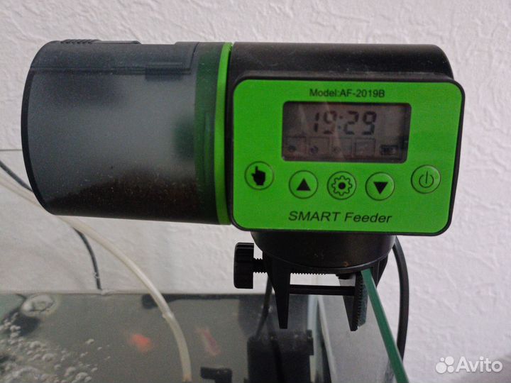 Аквариум с рыбками, фильтром и кормушкой