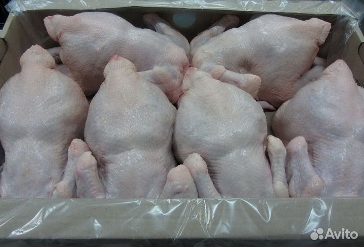 Тушка цыплёнка бройлера
