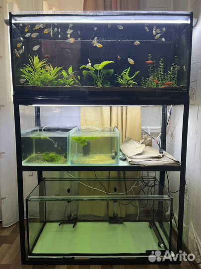 Аквариумы и стойка