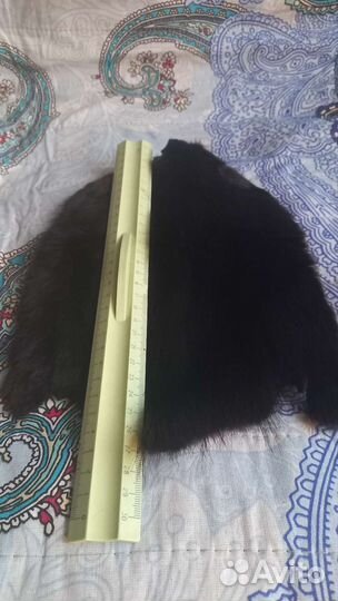 Шкурка животного ондатра