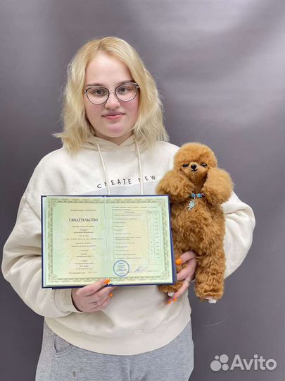 Грумер на дом