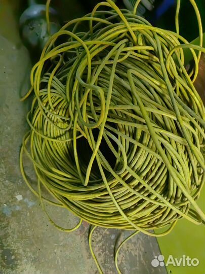 Кабель для интернета 5е