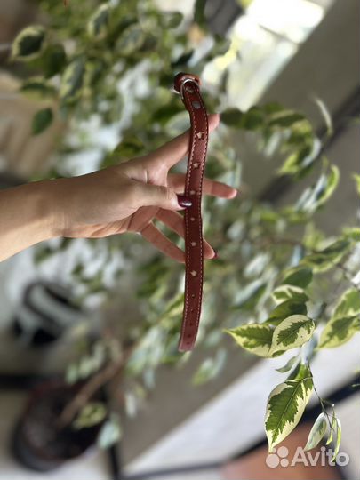 Ошейник для маленькой собаки или кошки