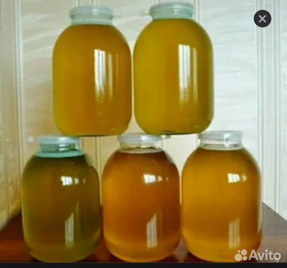 Цветочный мед 2024