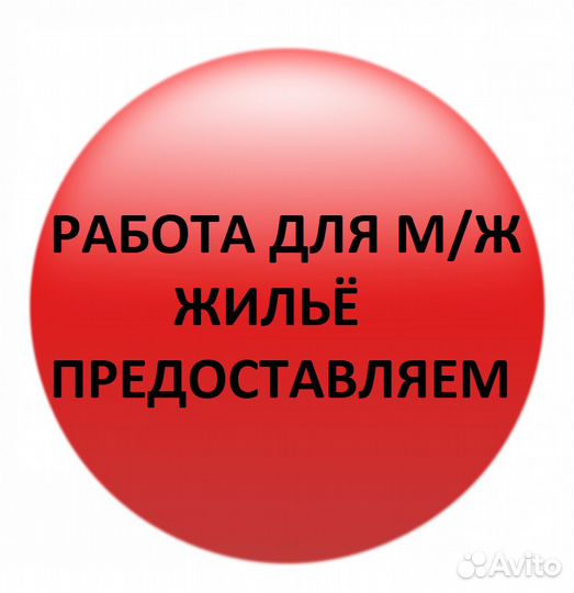 Разнорабочий м/ж