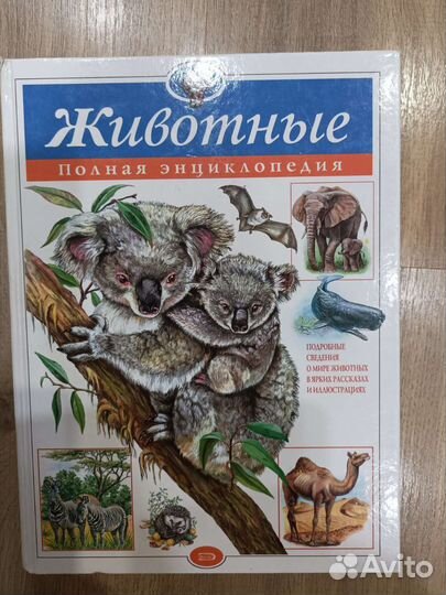 Энциклопедия про животных