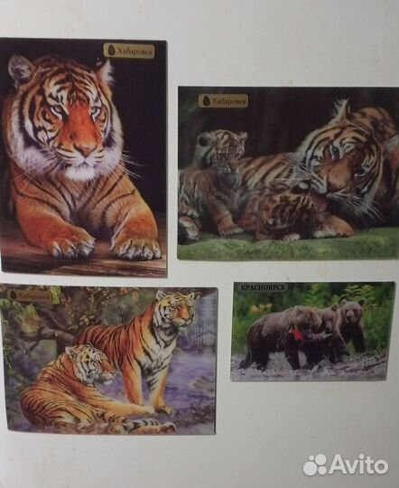 Магнитные стериокартинки