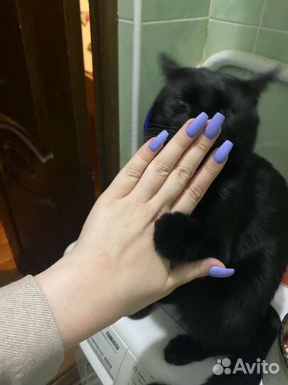 Маникюр педикюр на дому