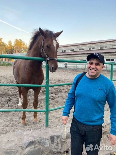 Свой человек в Новосибирске
