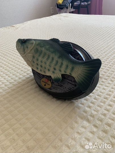 Поющая рыба