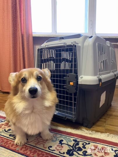 Переноска для крупных собак