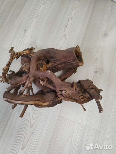 Для аквариума