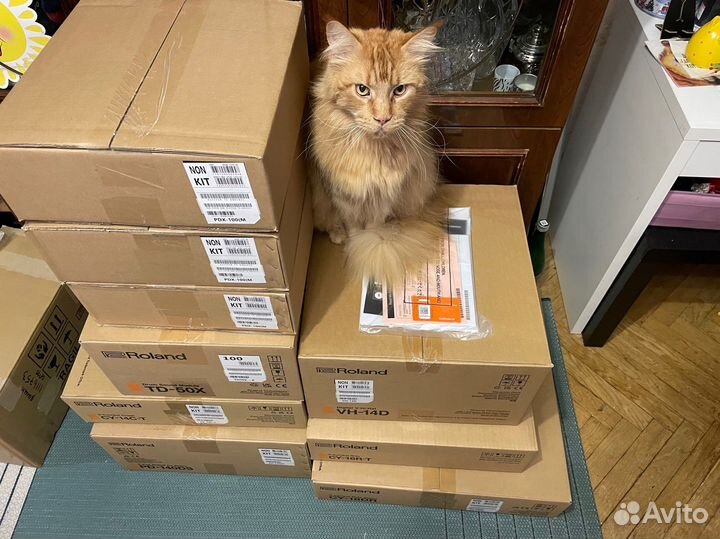 Roland TD-50X (vh-14D)