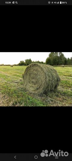 Сено