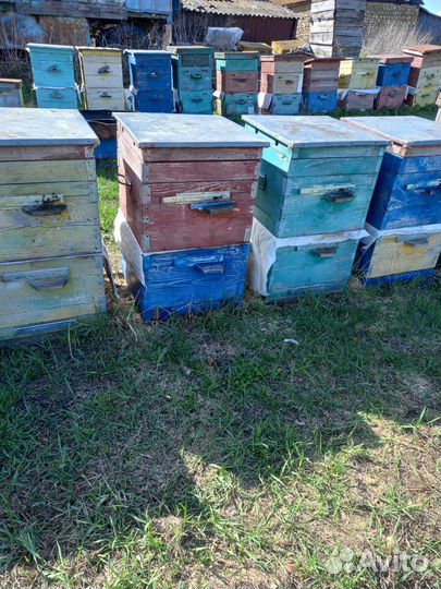 Улья, пчелоинвентарь