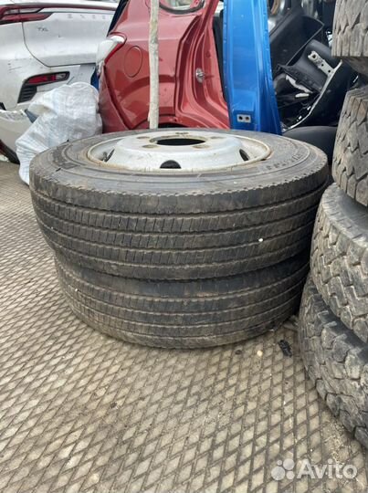 Continental AllSeasonContact 175/75 R17