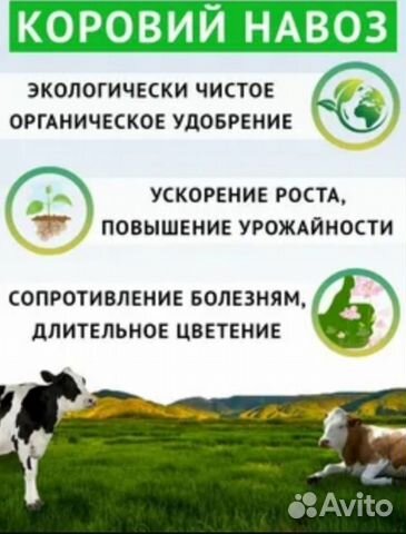Органические вещества