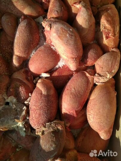 Субпродукты для собак