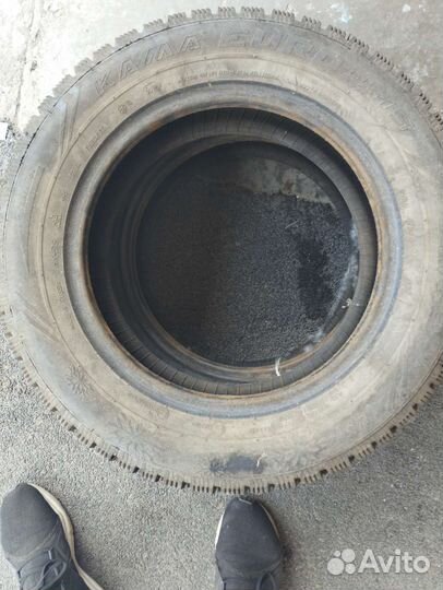 КАМА Кама-Евро-519 175/65 R14