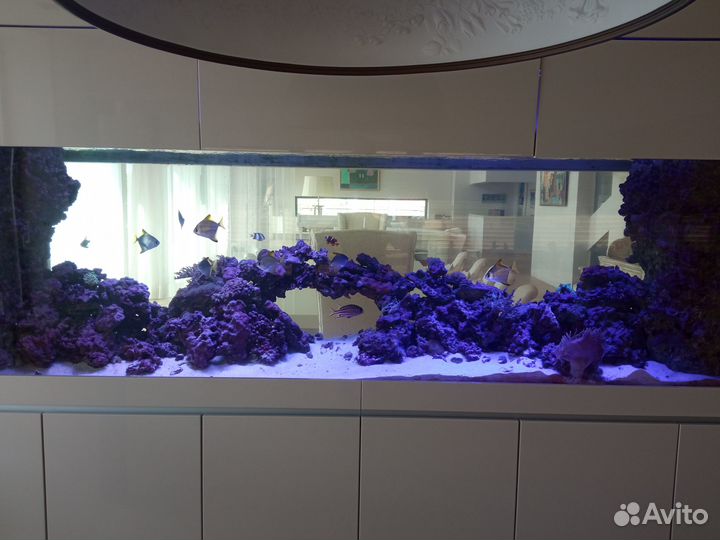 Ремонт аквариумов