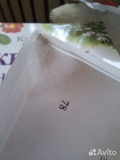 Клаудиа Найс. Акварель для начинающих