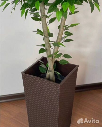 Дерево напольное искусственное