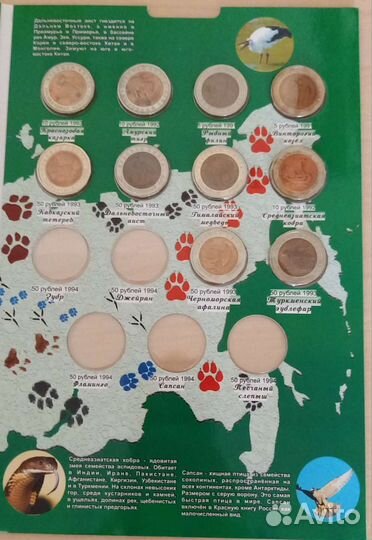 Коллекция монет