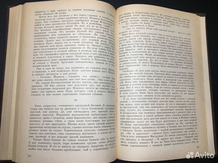 Западня, Золя, 1981