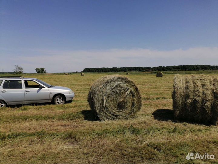 Луговое сено