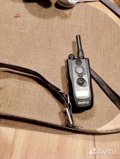 Ошейник для собак