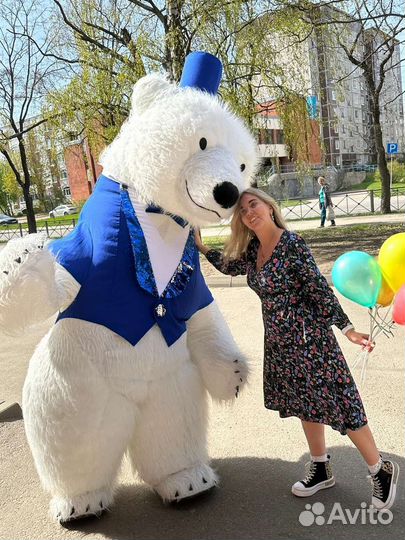 Белый мишка, панда с поздравлением