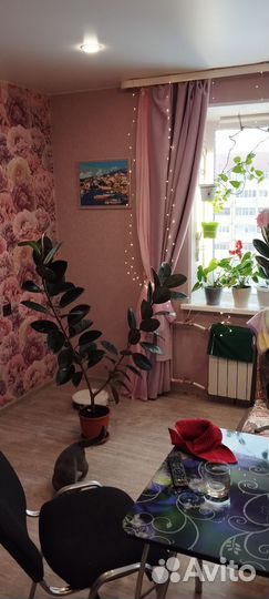 Замиокулькас